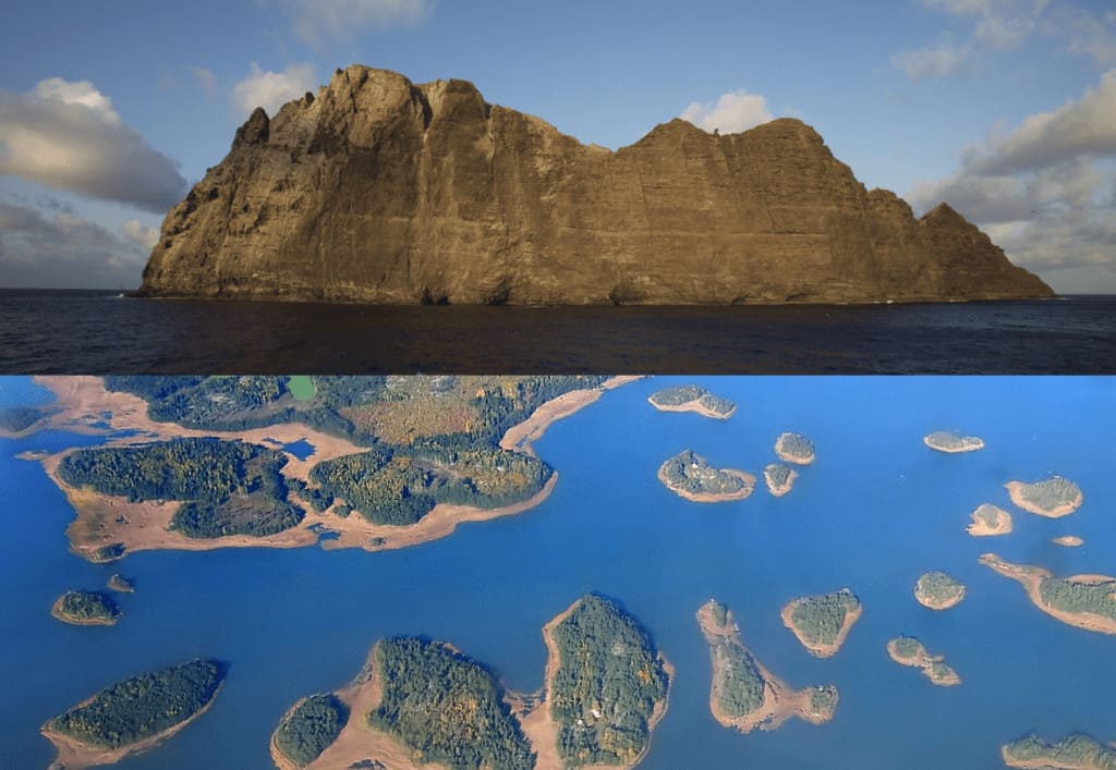 PHP Island vs Flatland Islands