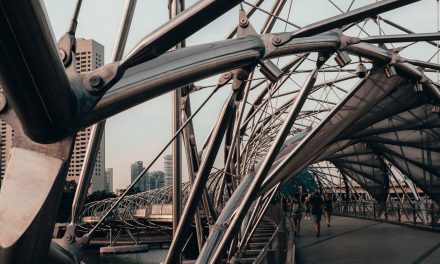 Research Software Engineering – International Coordination